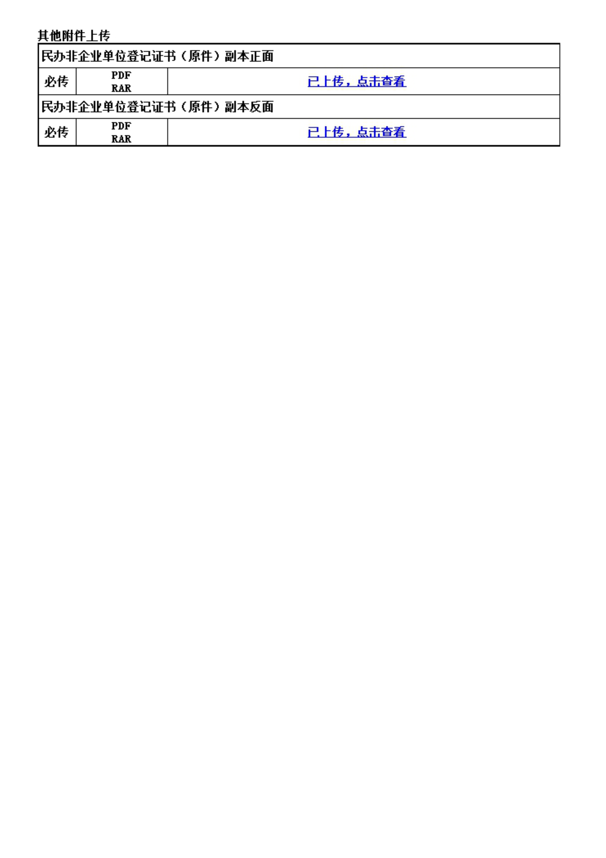 2017年度年审报告书_4.png